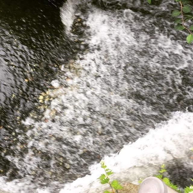 川の流れを観察しました
