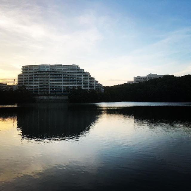 夕方の猫ヶ洞池、名古屋の平和公園にある池