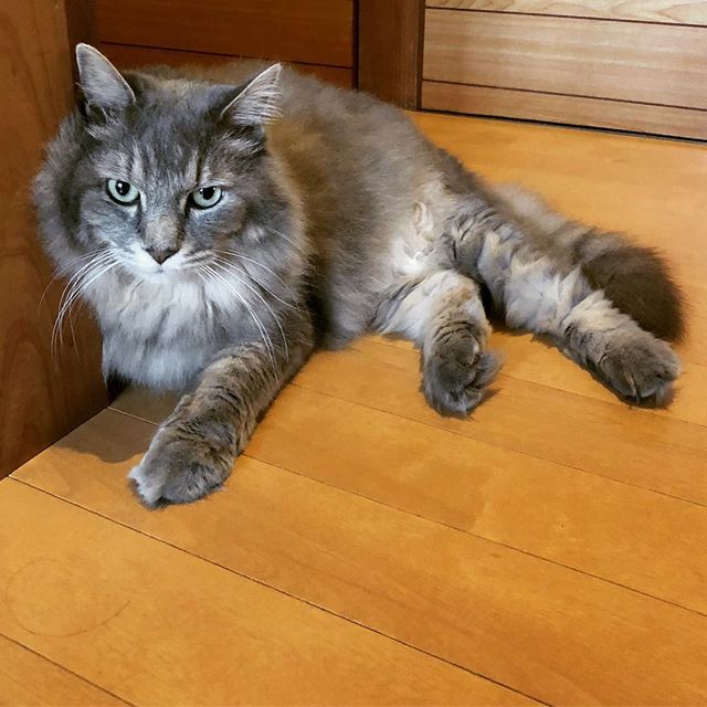 また廊下の見張りをしている