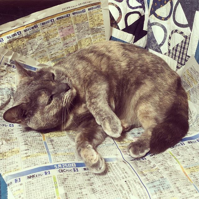 頭上に気配を感じた