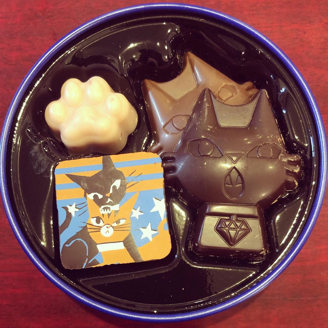 今日は猫のチョコを見ました(食べてない)