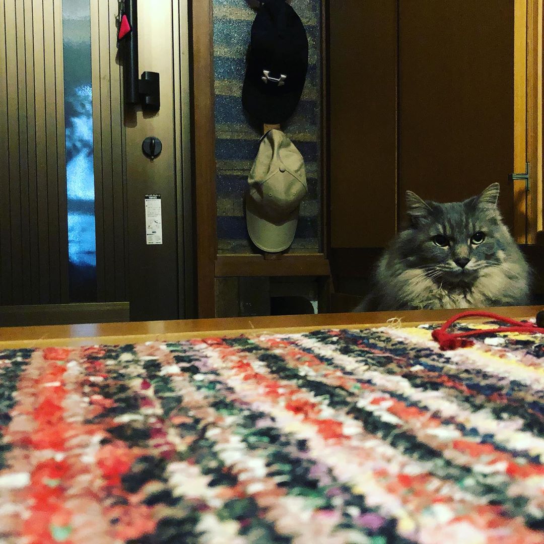 玄関にいた