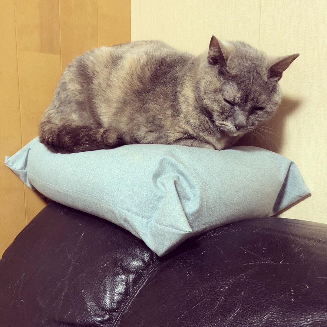 正しい枕の使い方