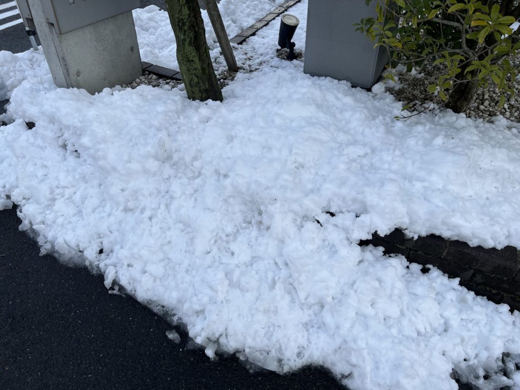 雪だるまが作れそう