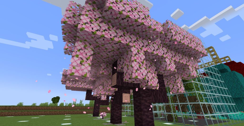 サクラの植林場、その１