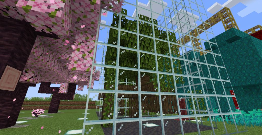 マングローブの植林場、その１